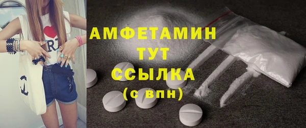 сатива Корсаков