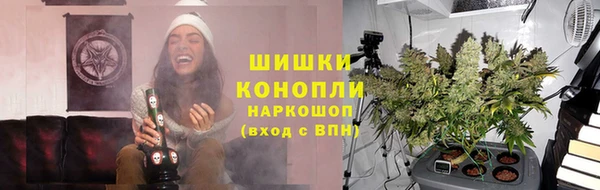 сатива Корсаков