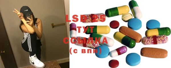 сатива Корсаков