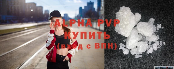 сатива Корсаков