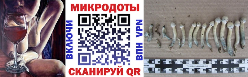 Псилоцибиновые грибы мицелий закладка Медвежьегорск
